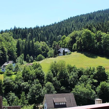 Ferienwohnung Schwarzwaldblick Bad Rippoldsau-Schapbach Luaran gambar