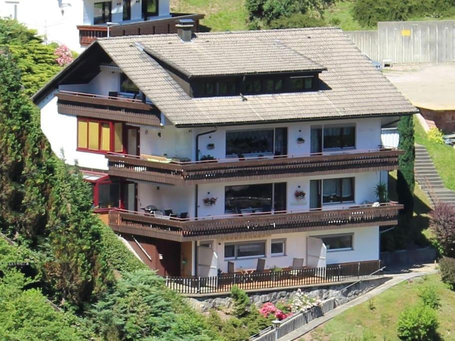 Ferienwohnung Schwarzwaldblick Bad Rippoldsau-Schapbach Luaran gambar