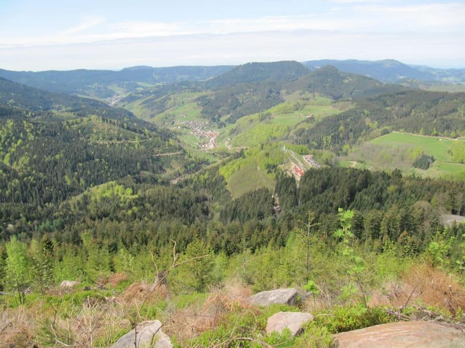Ferienwohnung Schwarzwaldblick Bad Rippoldsau-Schapbach Luaran gambar