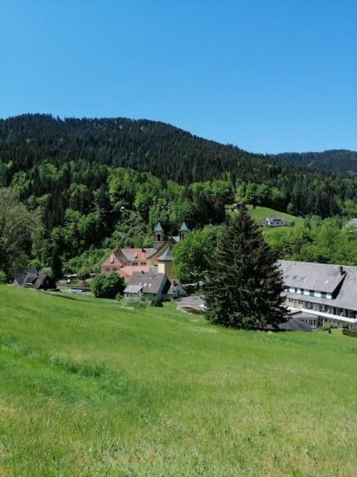 Ferienwohnung Schwarzwaldblick Bad Rippoldsau-Schapbach Luaran gambar
