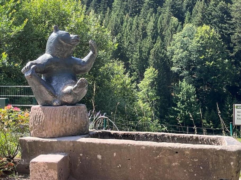 Ferienwohnung Schwarzwaldblick Bad Rippoldsau-Schapbach Luaran gambar