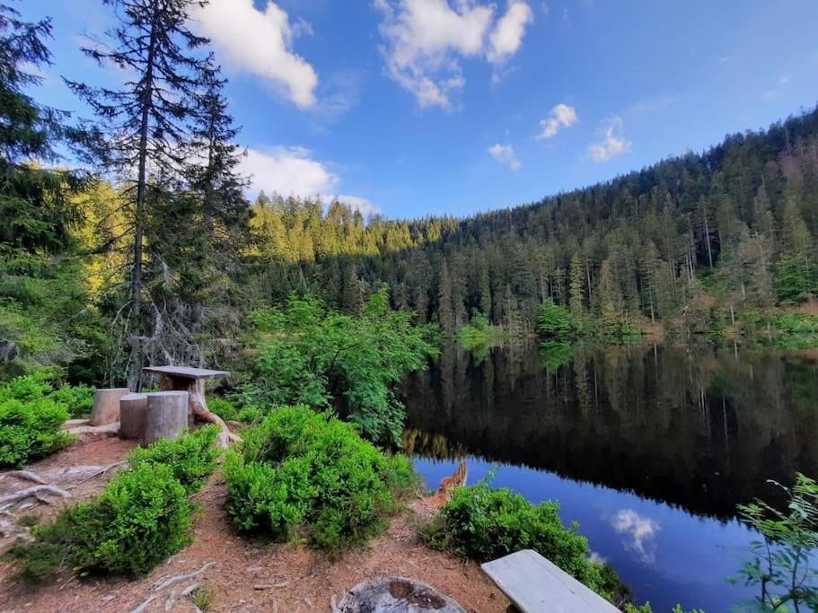 Ferienwohnung Schwarzwaldblick Bad Rippoldsau-Schapbach Luaran gambar