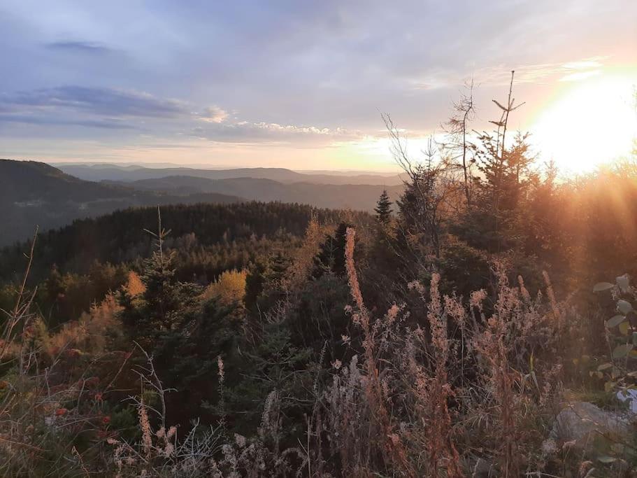 Ferienwohnung Schwarzwaldblick Bad Rippoldsau-Schapbach Luaran gambar