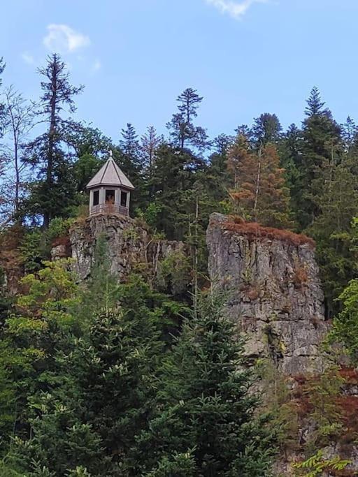 Ferienwohnung Schwarzwaldblick Bad Rippoldsau-Schapbach Luaran gambar