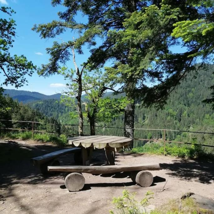 Ferienwohnung Schwarzwaldblick Bad Rippoldsau-Schapbach Luaran gambar
