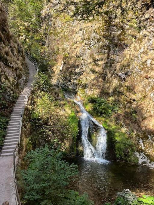 Ferienwohnung Schwarzwaldblick Bad Rippoldsau-Schapbach Luaran gambar