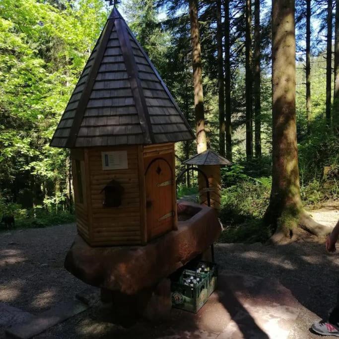 Ferienwohnung Schwarzwaldblick Bad Rippoldsau-Schapbach Luaran gambar