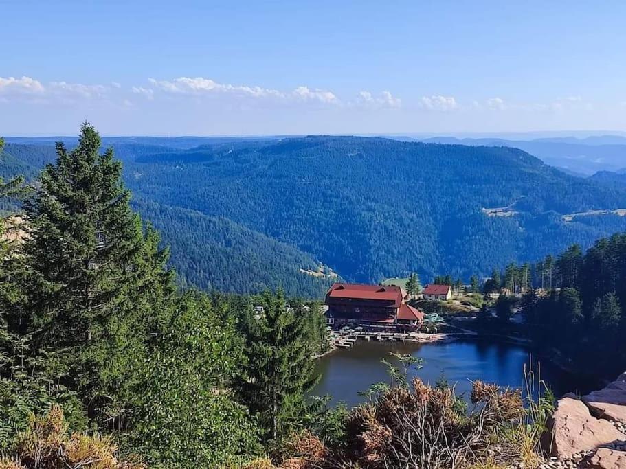 Ferienwohnung Schwarzwaldblick Bad Rippoldsau-Schapbach Luaran gambar