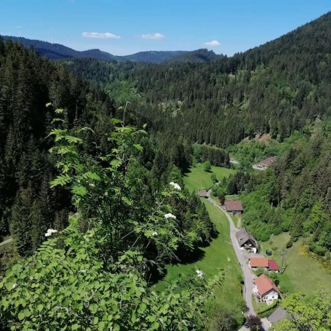 Ferienwohnung Schwarzwaldblick Bad Rippoldsau-Schapbach Luaran gambar