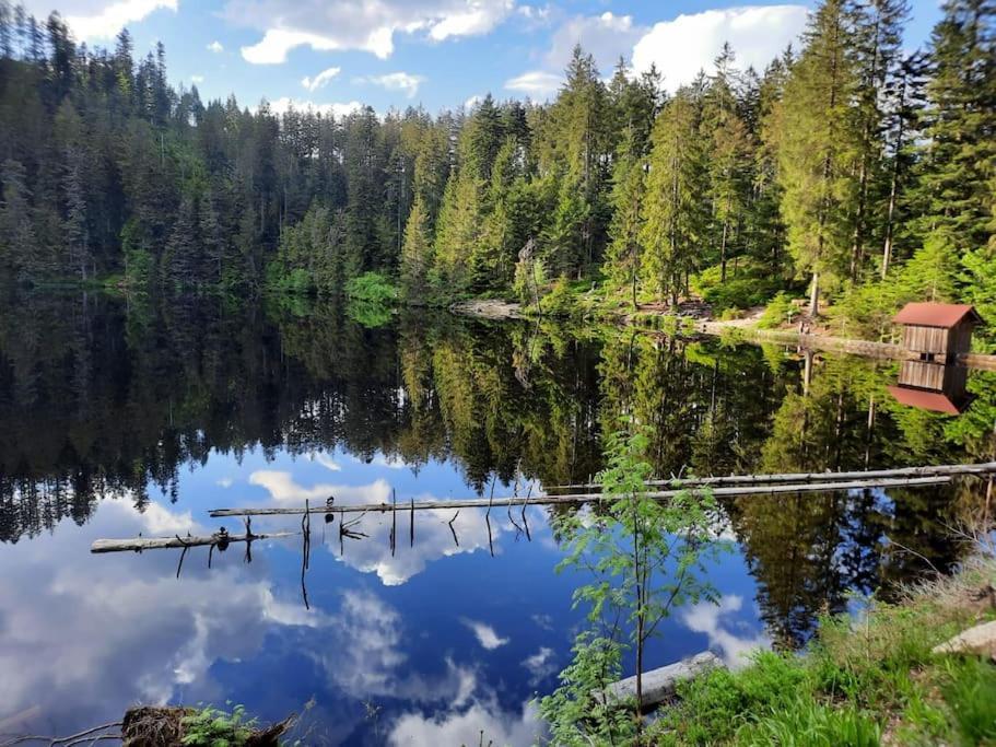 Ferienwohnung Schwarzwaldblick Bad Rippoldsau-Schapbach Luaran gambar